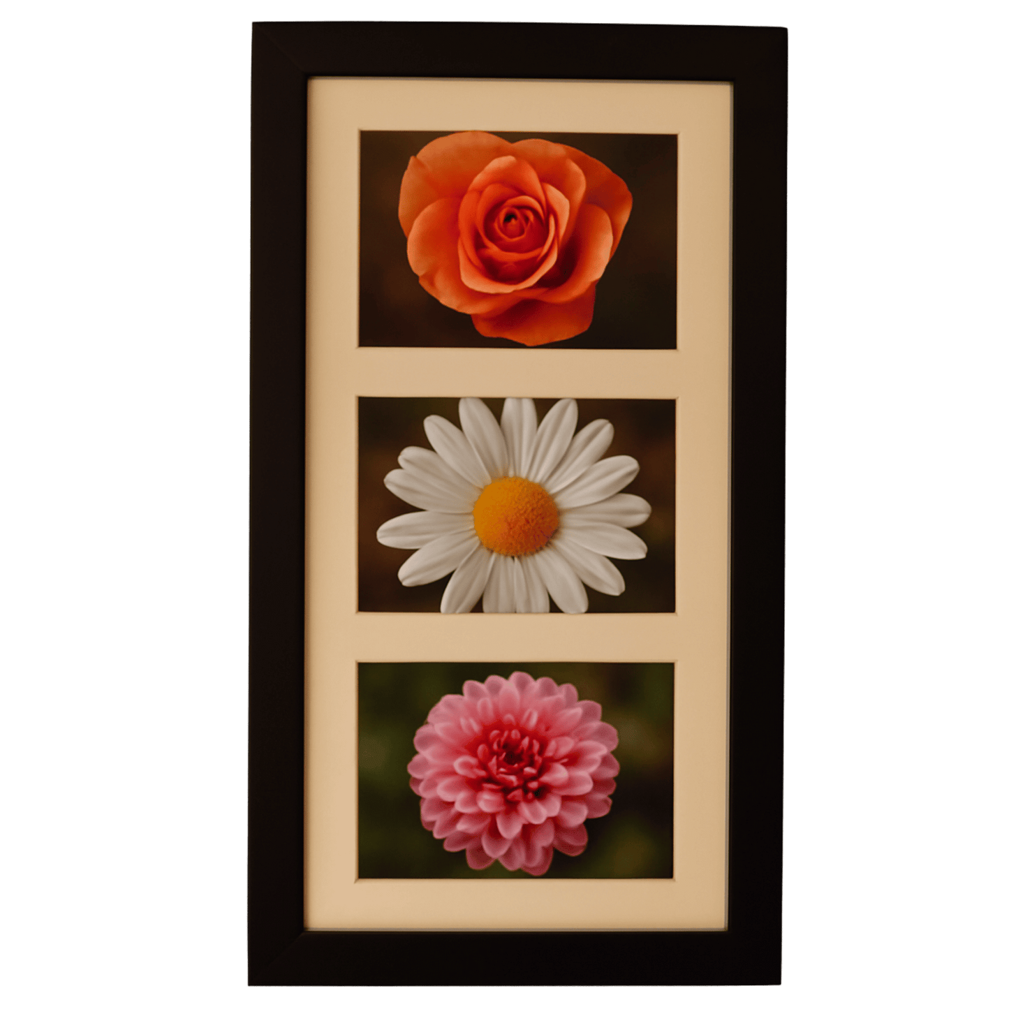 3-in-1 frame