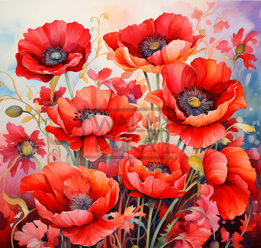 Poppies #3