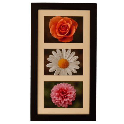 3-in-1 frame